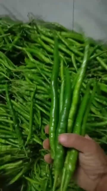 建始县辣椒
