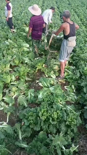 开阳县无