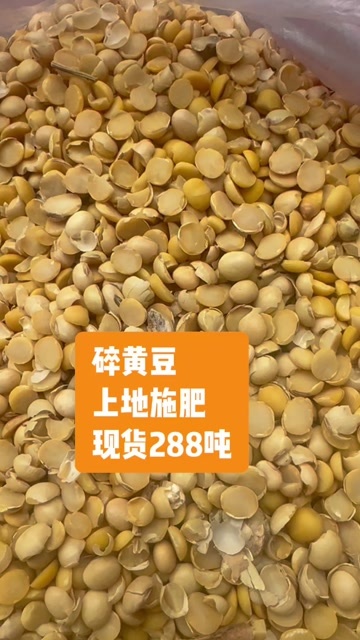 郓城县碎黄豆