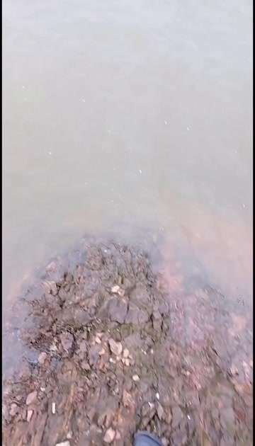 武宁县江西九江300亩水库出租，可投饲料，交通方便，设备齐全