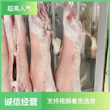 白条羊 新鲜山羊酮体烤全羊，羊肉