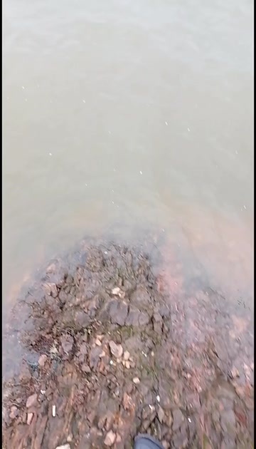 江西万亩水库出租,水深2一30米深,交通方便,设备齐全,