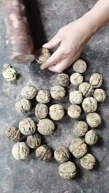 2025年新货薄皮核桃云南麻子核桃云南干核桃休闲食品宝妈优选