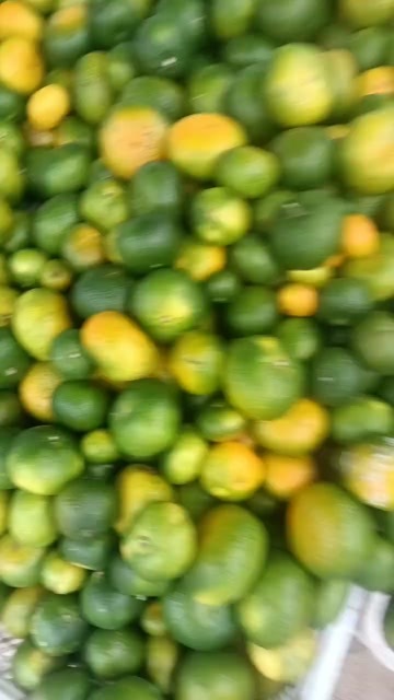 寻乌县蜜桔次果大量上巿
