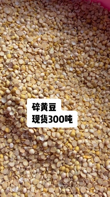 郓城县黄大豆