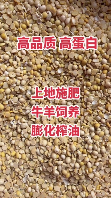 临清市碎黄豆