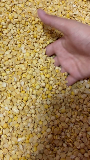 郓城县大量现货