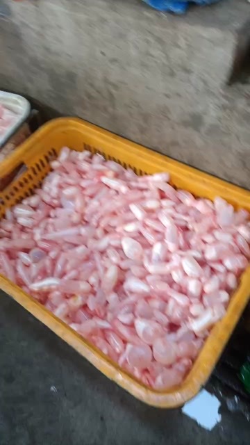 榆林新鲜鱼泡供应，全年有货。