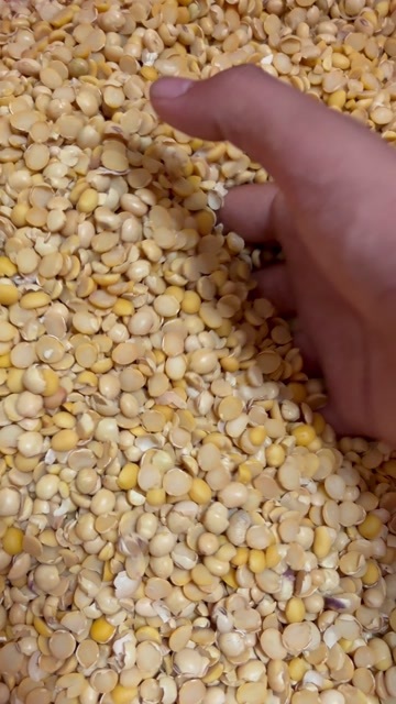 郓城县大量现货