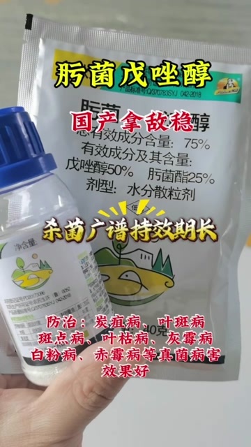 杀菌剂肟菌戊唑醇 防叶斑炭疽白粉等真菌病害