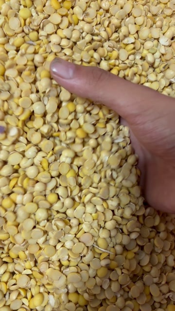 郓城县喜欢的老板欢迎来咨询