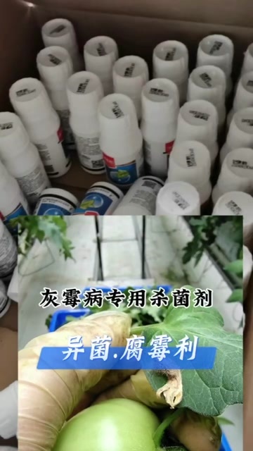 潍坊异菌腐霉利 防蔬菜灰霉叶霉菌核疫病等真菌病害