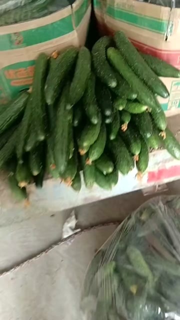 黄瓜