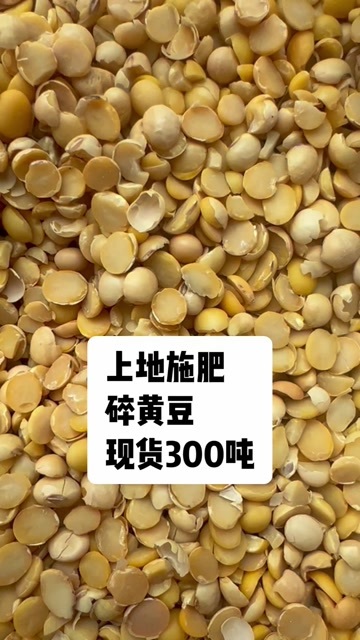 郓城县碎黄豆