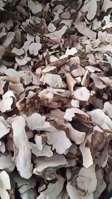 无硫土茯苓