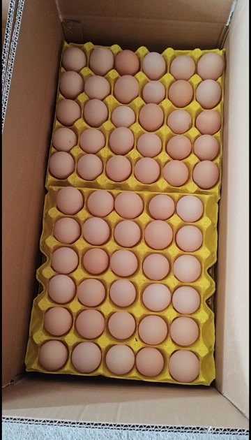 蕲春县出售精品红心粉蛋，大中小码都有，10万大厂直发，