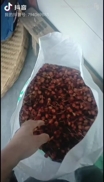 玉龙县海棠干果，自家晒干