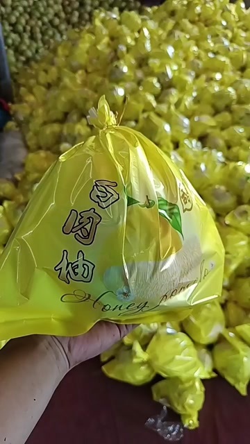 平和县白柚子