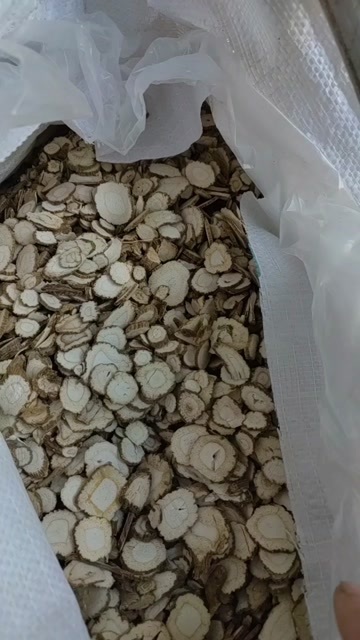 亳州白芷