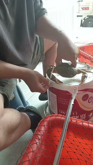 三门县三门青蟹肉质鲜甜可口