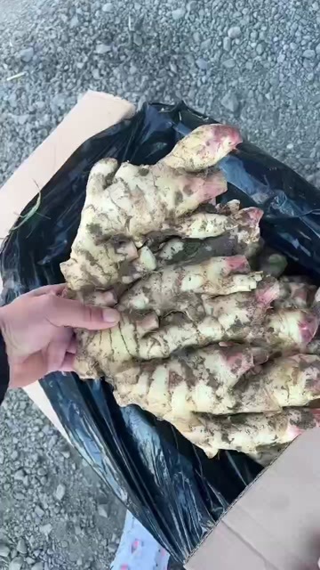沂水县大量出售红牙鲜姜