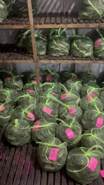 兴化市江苏兴化大闸蟹