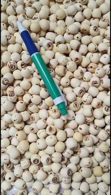玉林无硫白莲米中药批发一手货源量大忧量