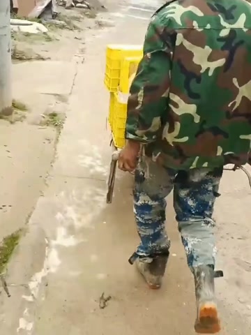 甘肃天水花牛苹果现摘现发，香甜多汁，现在还在树上的鲜果