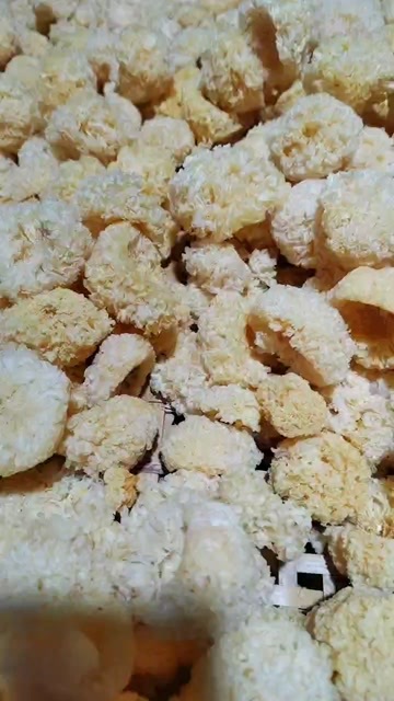 福建省古田县食用菌之都