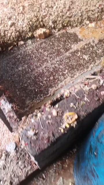 成都餐厨粉