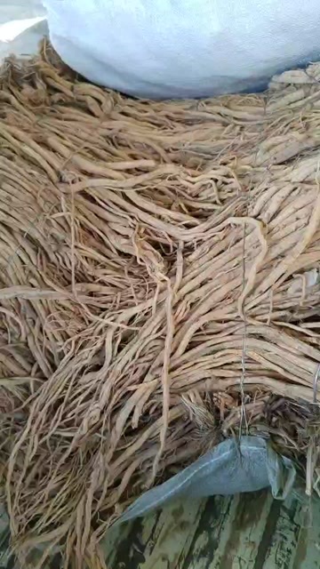 陇西县精品防风，有需要的老板欢迎下单