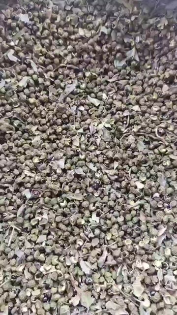 禄劝县农户直销，没有中间商。开口虑90%以上