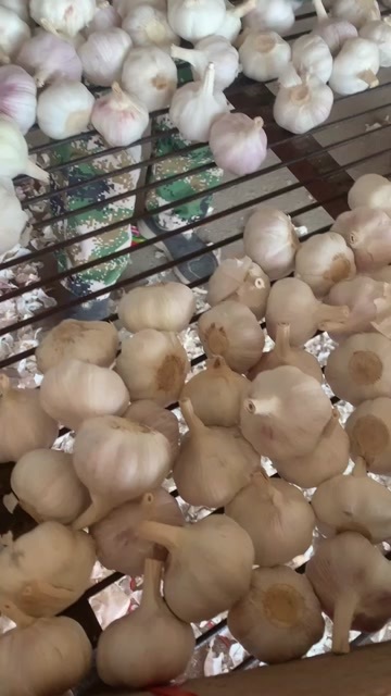金乡县高标精加工红皮大蒜
