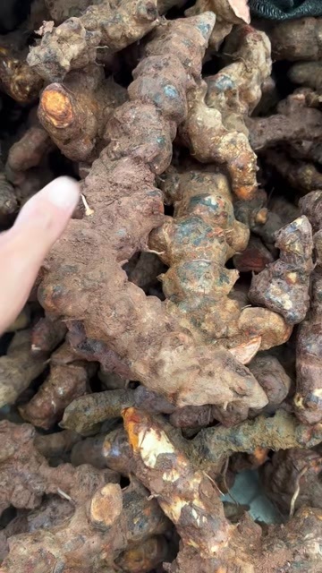 澜沧县土茯苓