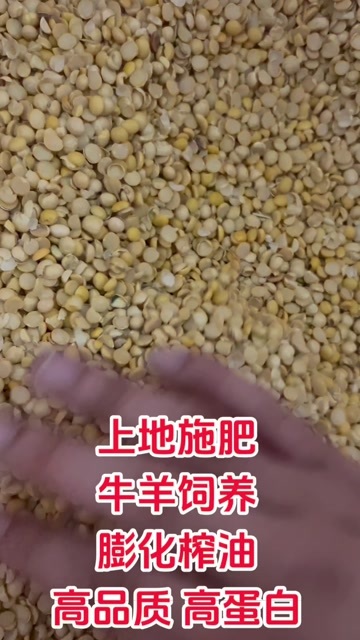 临清市碎黄豆
