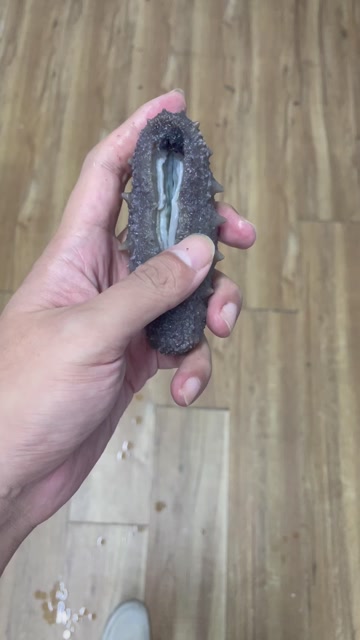 即食海参，纯大连本地货，工厂批发直发！量大优惠，一件也批发