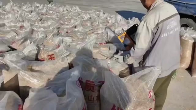 阳高县大白黍，2024年新黍