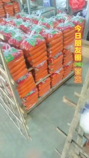 太康县胡萝卜