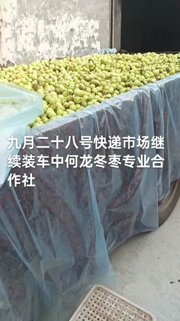 滨州山东沾化鲜枣冬枣核果仁果类水果