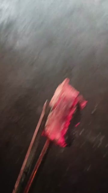 紫云县木碳