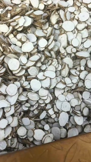 亳州白芷香料切片大量出售