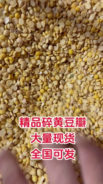 临清市精品碎黄豆瓣 上地施肥 牛羊饲养