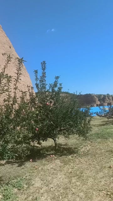 晋中红星苹果，嘎嘎好吃
