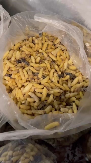 新晃县新鲜熟冻蜂蛹虎头蜂黄脚树蜂统货95一斤包邮