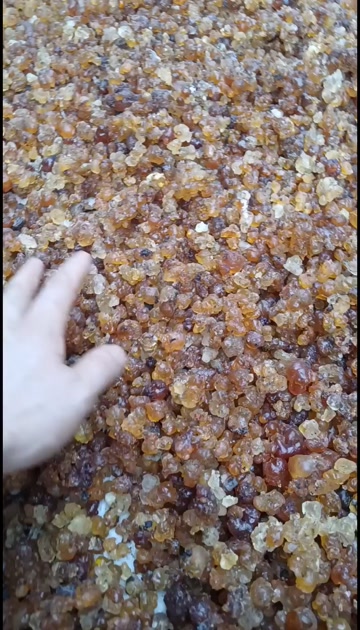桃胶