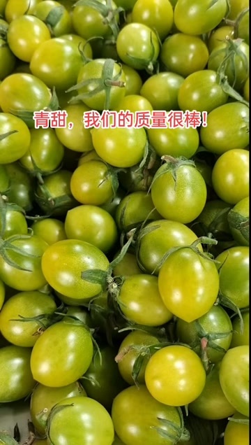 寿光市寿光产地，贝贝，千喜，青甜，迷恋，大量有货！