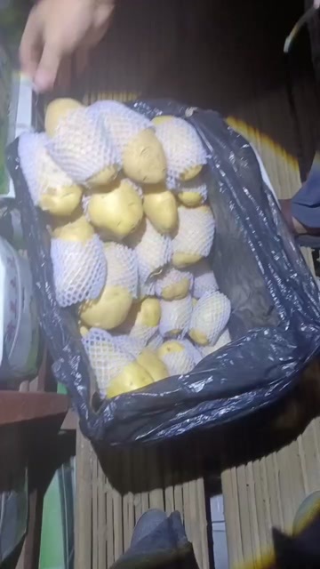 肥城市土豆