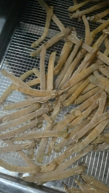 东港市沙虫干 工厂一手批发  代理一件可发 老板们求单