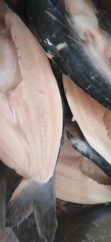 今年4月过期的开背鱼，145箱，便宜出。一箱毛重10kg，