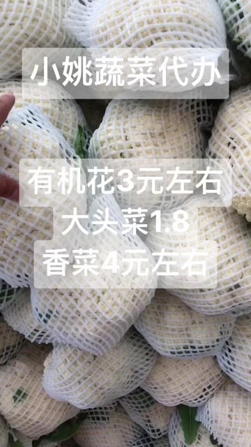 昌黎县有机花大量上市